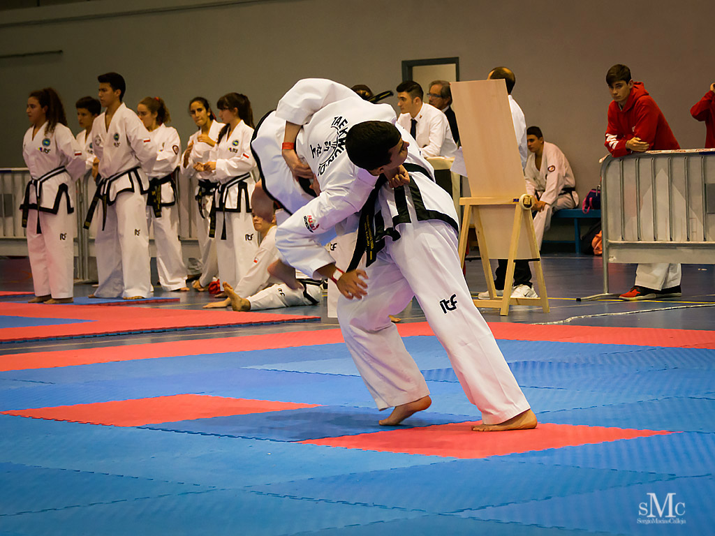 COPA SEUL, 2017  (98).JPG